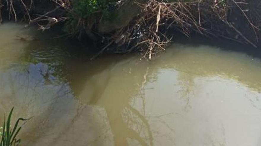 Agua blanquecina en un tramo del río Bolaños. | LOC