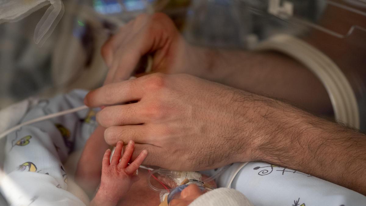 La maneta d'un nadó prematur amb les d'un adult a l'Hospital Clínic de Barcelona