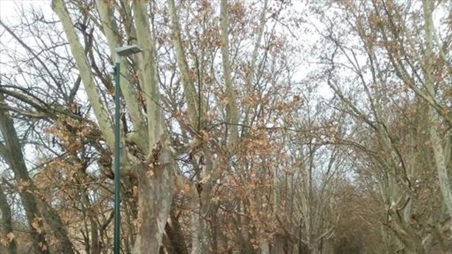 El puente viejo del río Jalón estrena una nueva iluminación