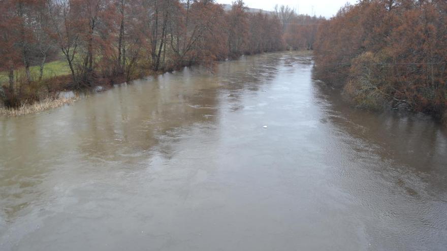 Río Tera a su paso por Puebla