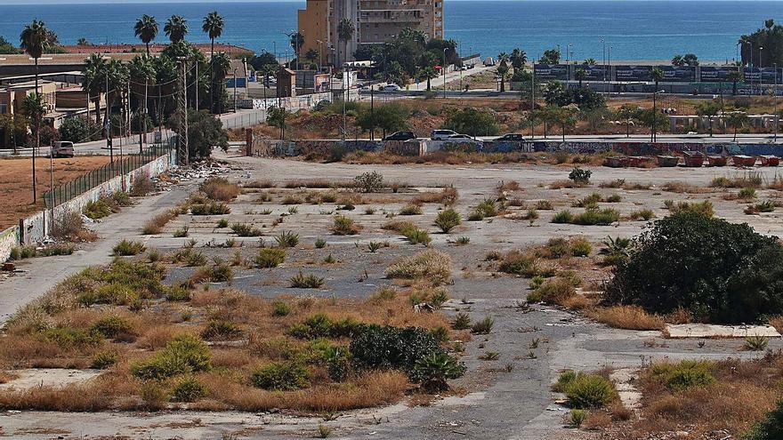 Terreno elegido para el desembarco, junto al Carpena, de una universidad privada