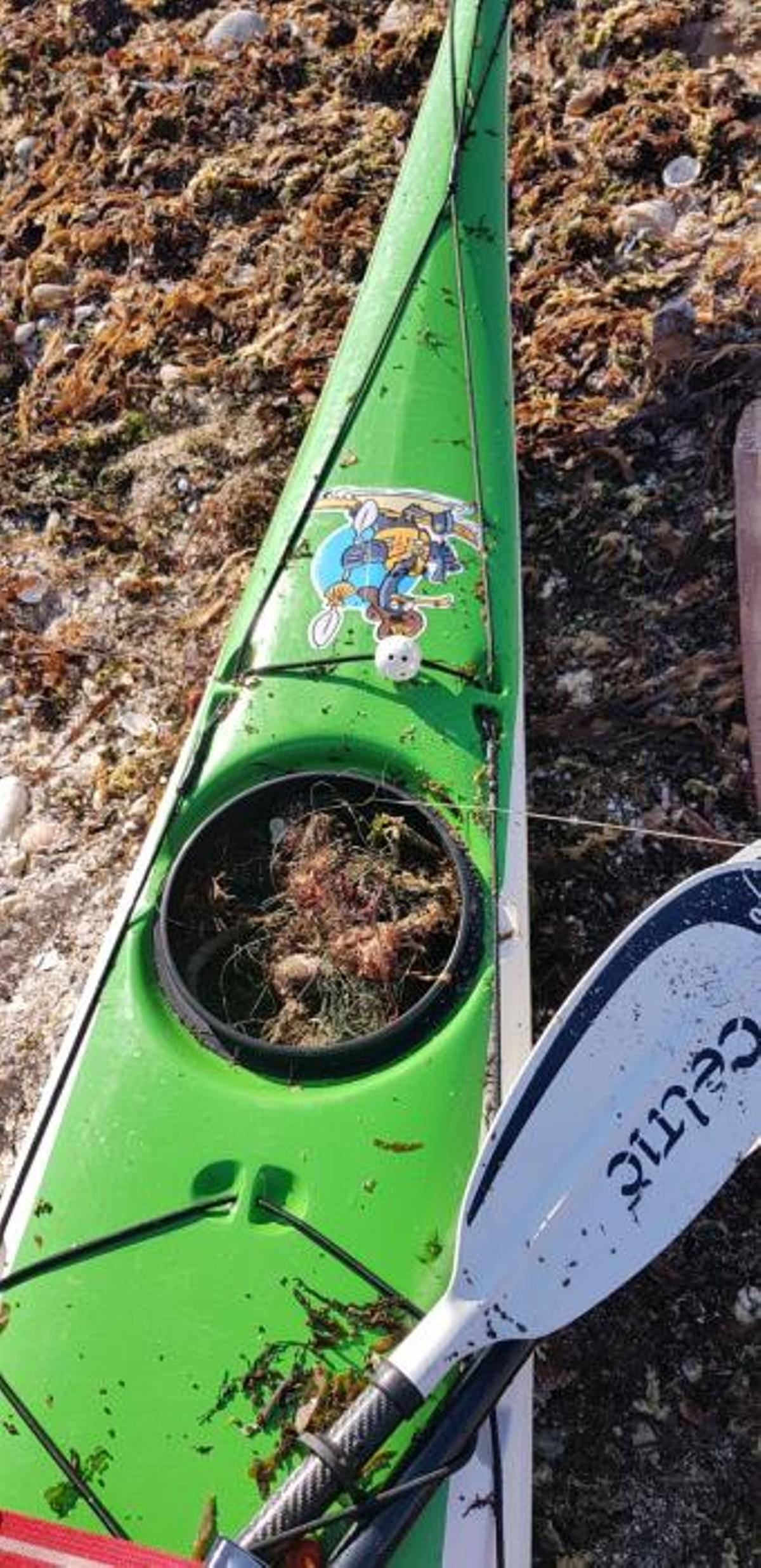 Eliminación de basura marina en Sálvora.