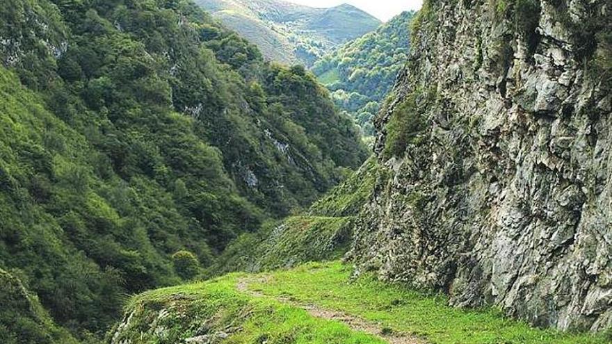 Parte de la ruta de las foces del río Pendón, en Nava.