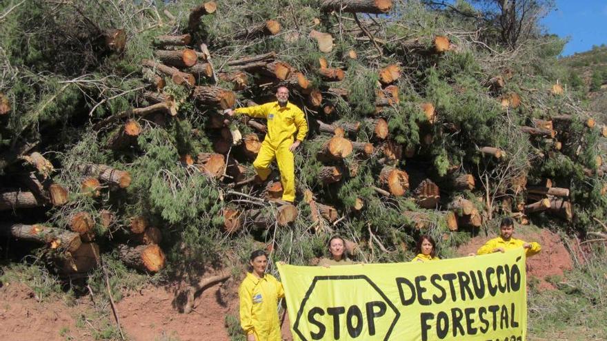 Protesta de AE-Agró por la tala de árboles en Serra.