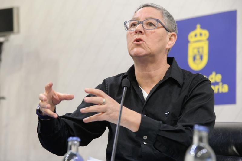 Jack Halberstam, profesor de la Universidad del Sur de California, profesor visitante en la Universidad de Columbia y una de las voces más reconocidas internacionalmente en teoría queer y estudios de género ofrece en el Cabildo de Gran Canaria la charla ?Trans*, más allá de los derechos y el reconocimiento?.  | 17/01/2019 | Fotógrafo: Tony Hernández