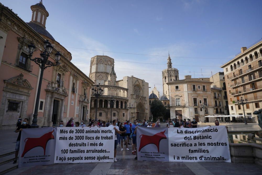 Protesta taurina y ganadera contra la falta de ayudas al sector en València