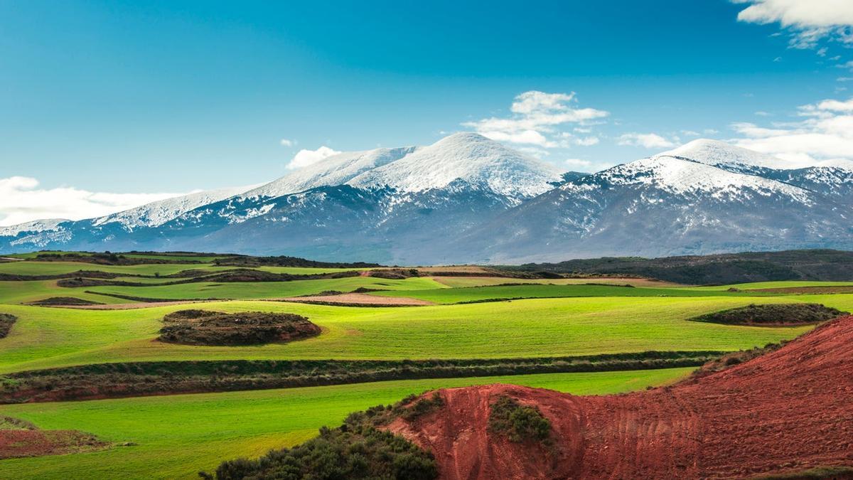 Moncayo, Campo de Borja