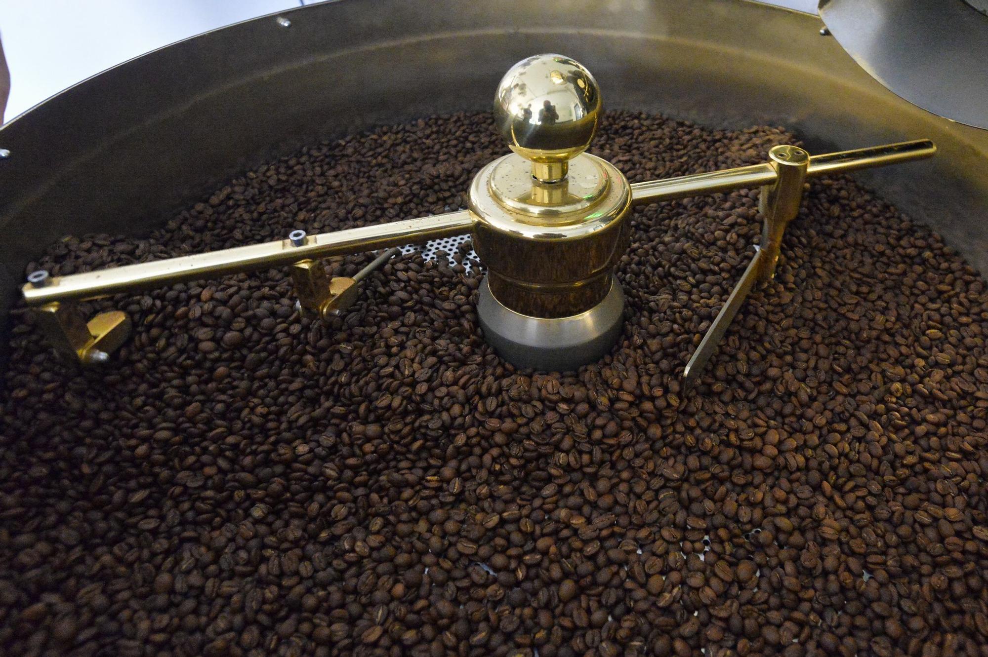Plantación de café de la finca El Calvario, en Guía