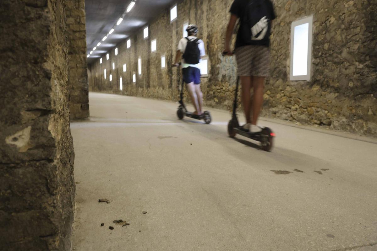 Vía Verde de Alicante en la Albufereta con excrementos de perros por falta de papeleras