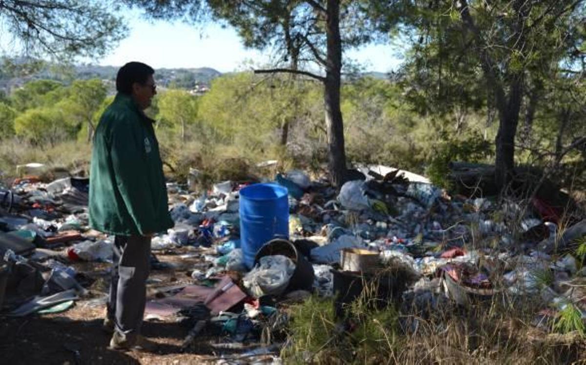 Los ecologistas alertan sobre un gran vertedero en pleno bosque de la Vallesa