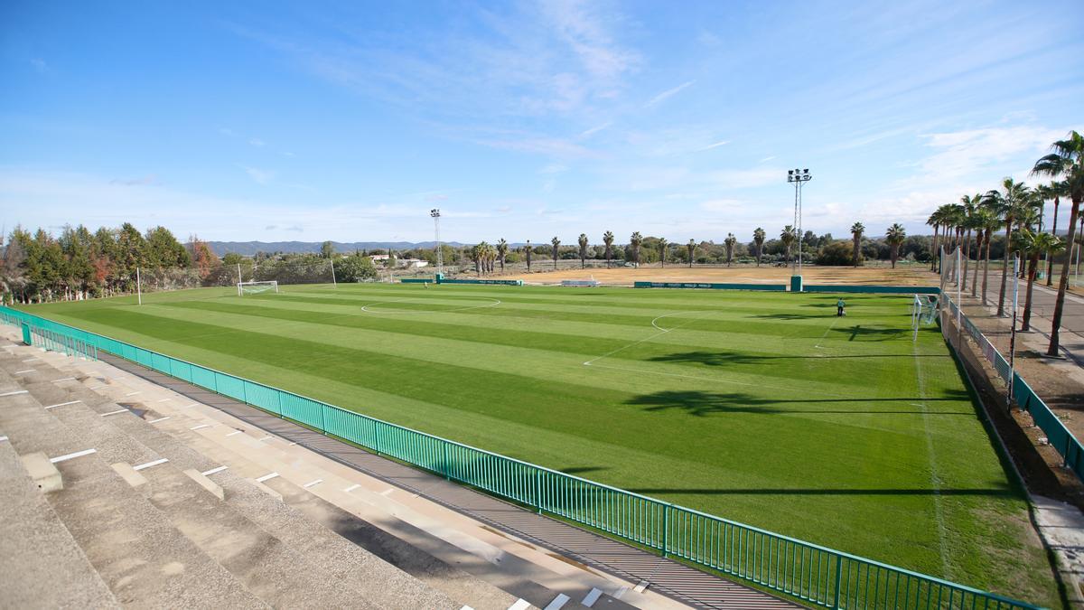 Operarios de Royalverd trabajando sobre el césped del campo 1 de la Ciudad Deportiva, este martes.