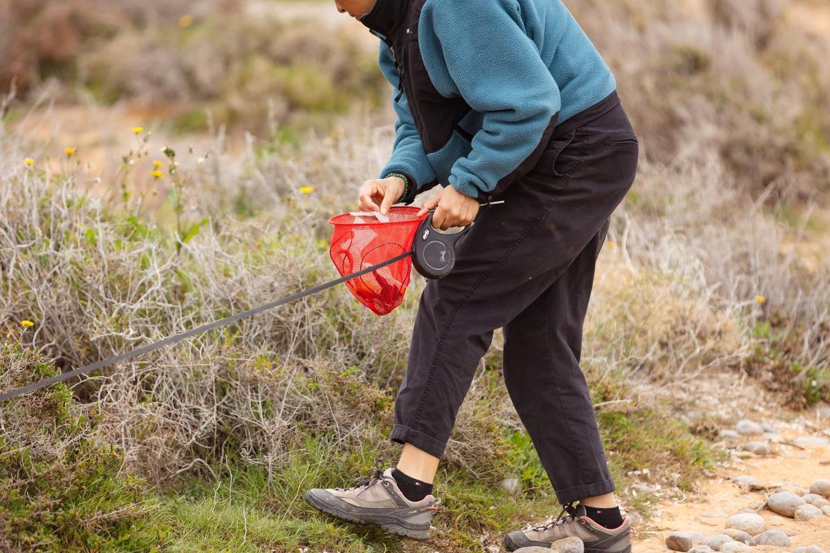Todas las imágenes de la jornada de limpieza Tejiendo Futuro de Ibizapreservation