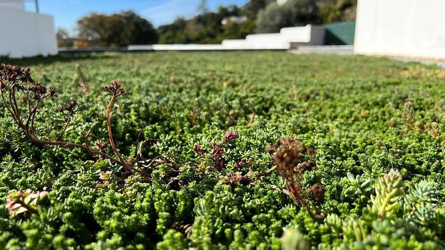 Reduce el consumo de agua en tus cultivos y plantas con los paneles de Secalflor