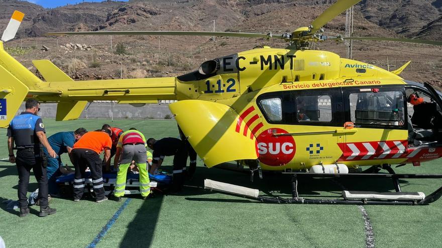 Cae de un árbol desde varios metros de altura en Gran Canaria