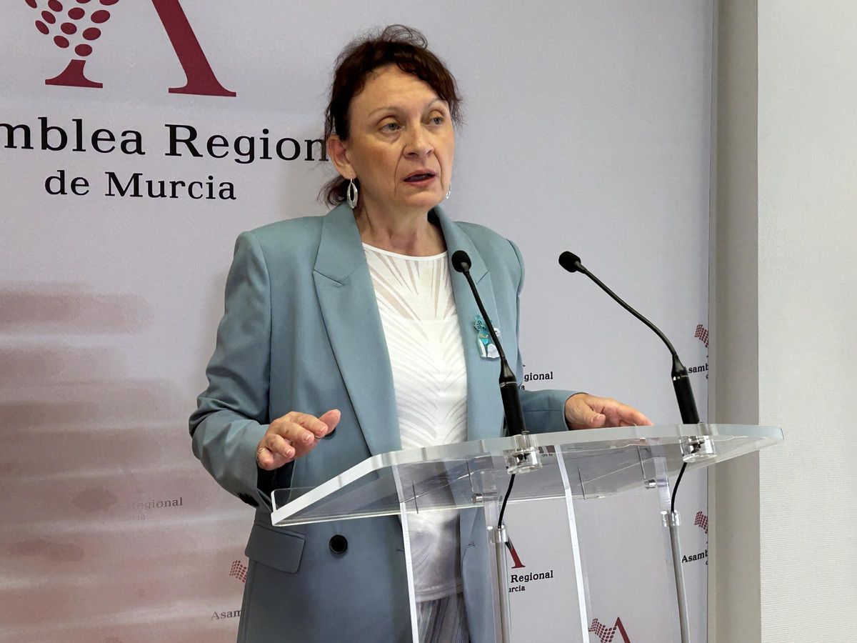 María Marín, portavoz de Podemos en la Asamblea.