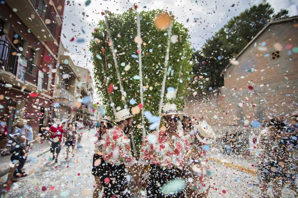 El 15 de agosto Bétera vivió su fiesta grande con albahacas que este año rozaron el récord. Miles de asistentes participaron en el desfile donde las dos "obreres fadrines" , acompañadas de familiares y amigos, llevan las plantas hasta la iglesia.