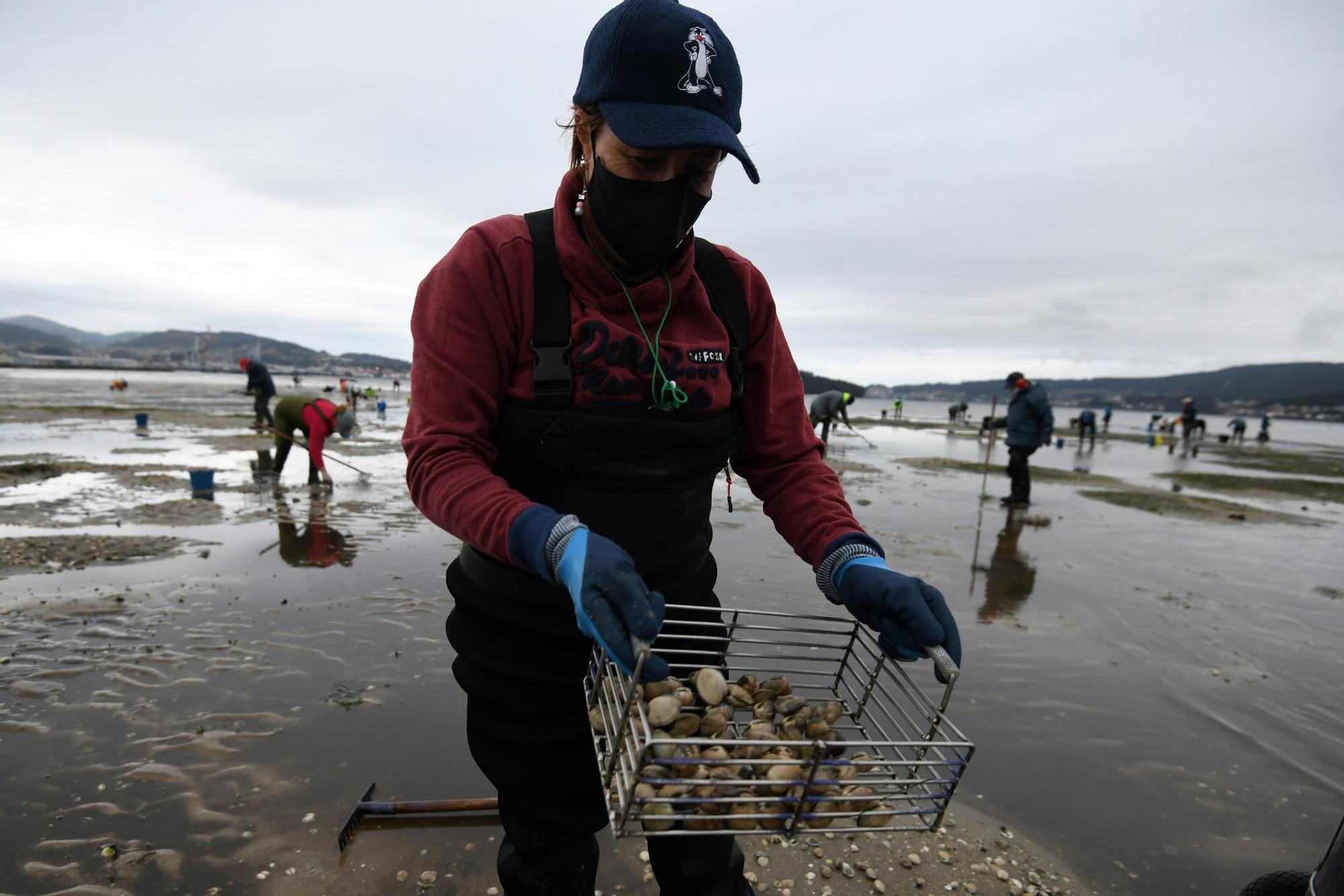 Las mariscadoras vuelven a faenar