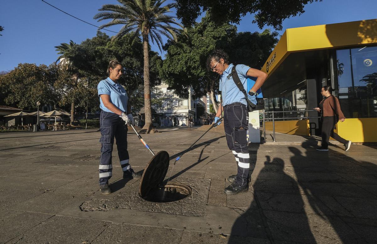 Trabajos de desratización en la zona del parque de Santa Catalina, en Las Palmas de Gran Canaria Trabajos de desratización en la zona del parque de Santa Catalina, en Las Palmas de Gran Canaria