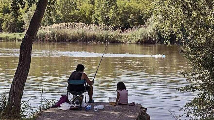 Estampa veraniega en el Duero, con aficionados a la pesca y un bañista dándose un chapuzón en el medio del cauce.