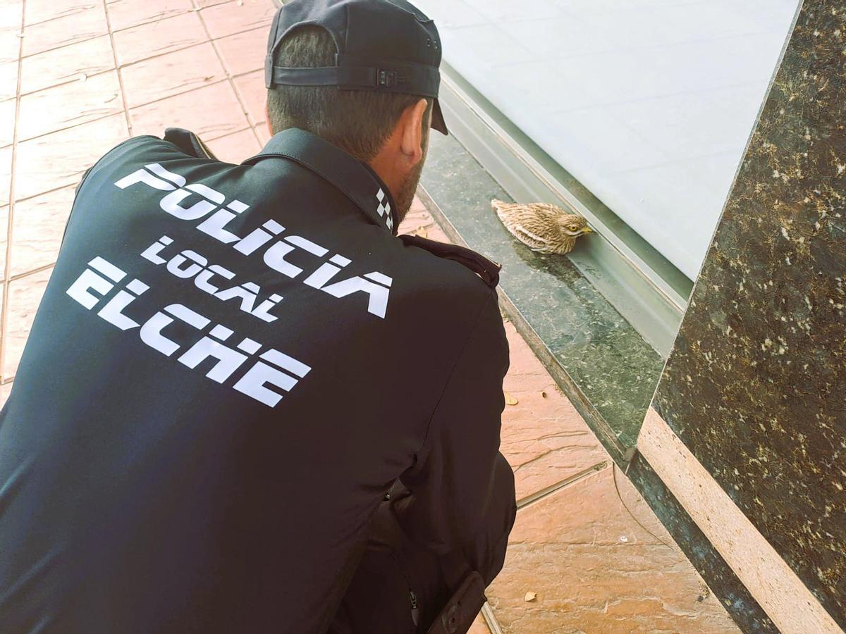 Educación ambiental con la brigada ambiental de la Policía Local de Elche