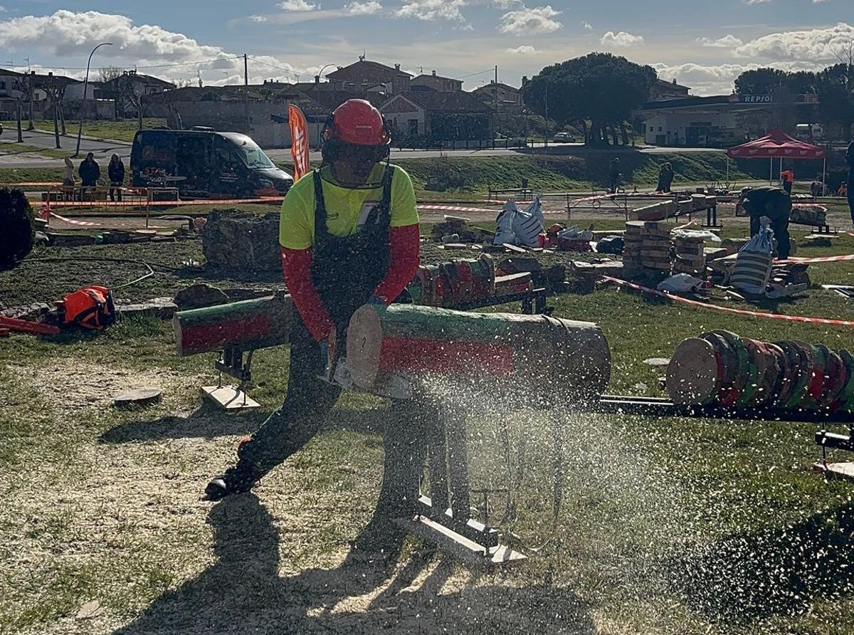 Una prova amb motoserra