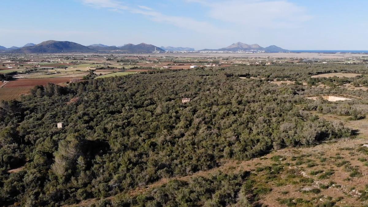 Imagen aérea de los terrenos de Vinromà donde se ha proyectado el parque solar.
