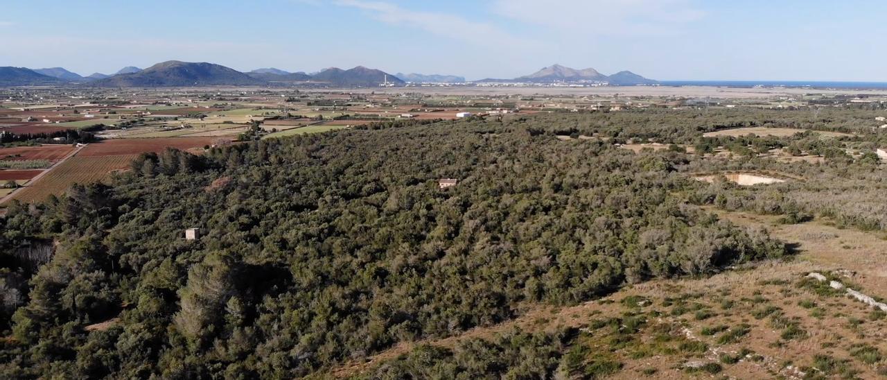 Imagen aérea de los terrenos de Vinromà donde se ha proyectado el parque solar.
