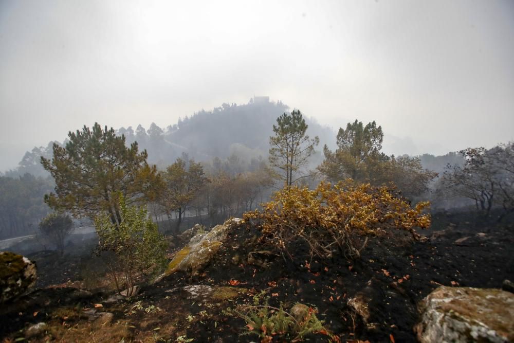 Incendios en Galicia | Vigo, cercado por el fuego