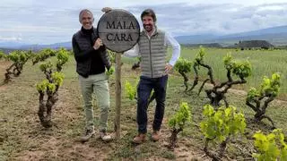 Malacara: las viejas cepas que dan un vino nuevo en La Rioja