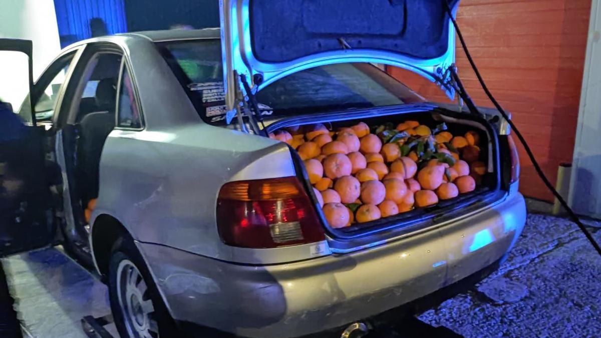 Maletero del coche lleno de cítricos.