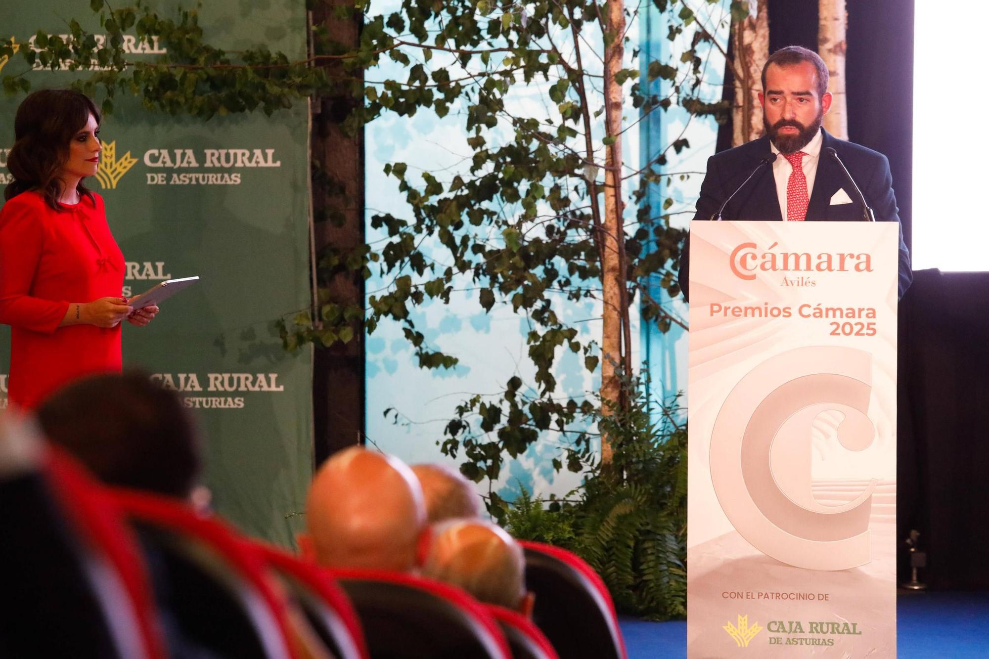 EN IMÁGENES: Los premios de la Cámara de Comercio de Avilés con el cardenal Artime entre los galardonados