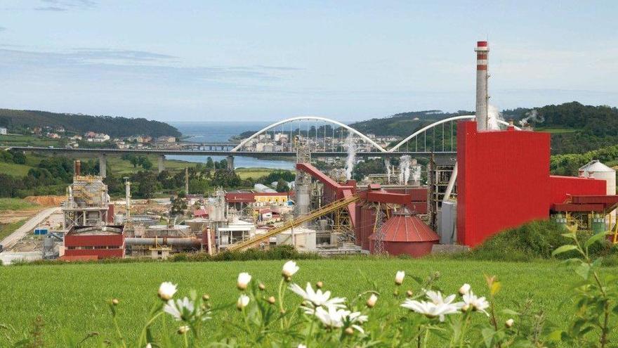 Ence pone en marcha una inversión de 8 millones en la planta de Navia