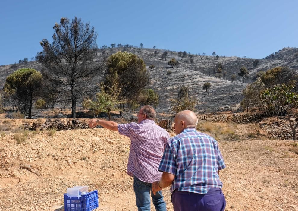 Así ha quedado la zona tras el incendio.