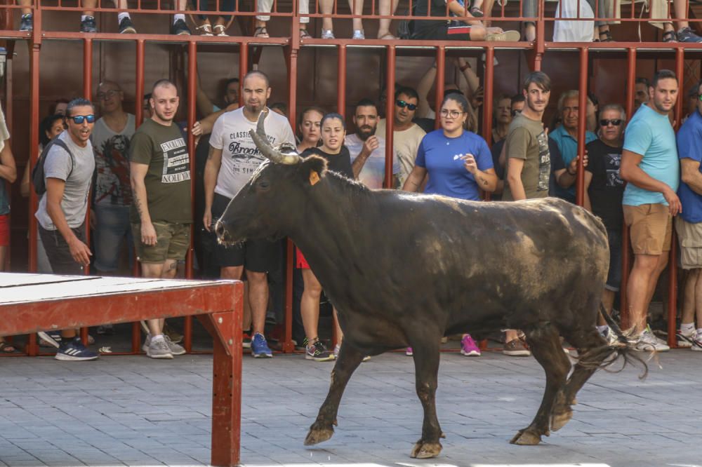 Encierro de toros en Castalla