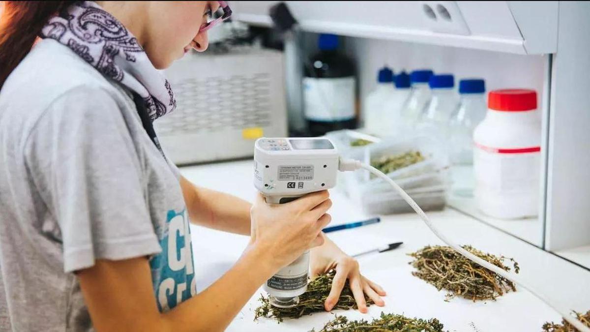 Ingeniería y finanzas lideran el ranking de empleabilidad universitaria