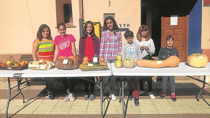 Las calabazas toman protagonismo para seguir manteniendo la tradición