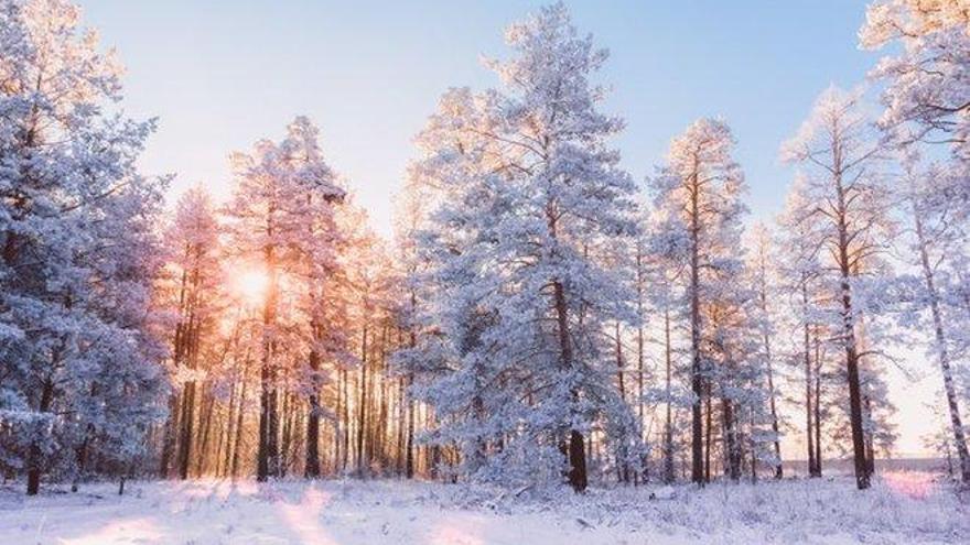 Cuando Empieza El Invierno : Cuando Empieza El Invierno En Espana En 2020 - ¿cuándo empieza el invierno 2019?