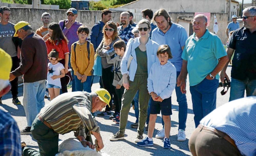 El esquilado de ovejas más festivo