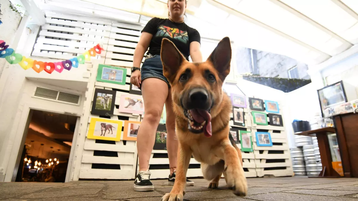 Un anterior mercadillo solidario a beneficio de Os Palleiros, una de las entidades que estará presente el próximo viernes en 