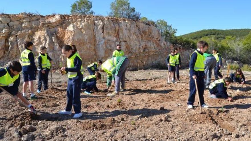 Un centenar de escolares participa en el Día de los Árboles de Ontinyent