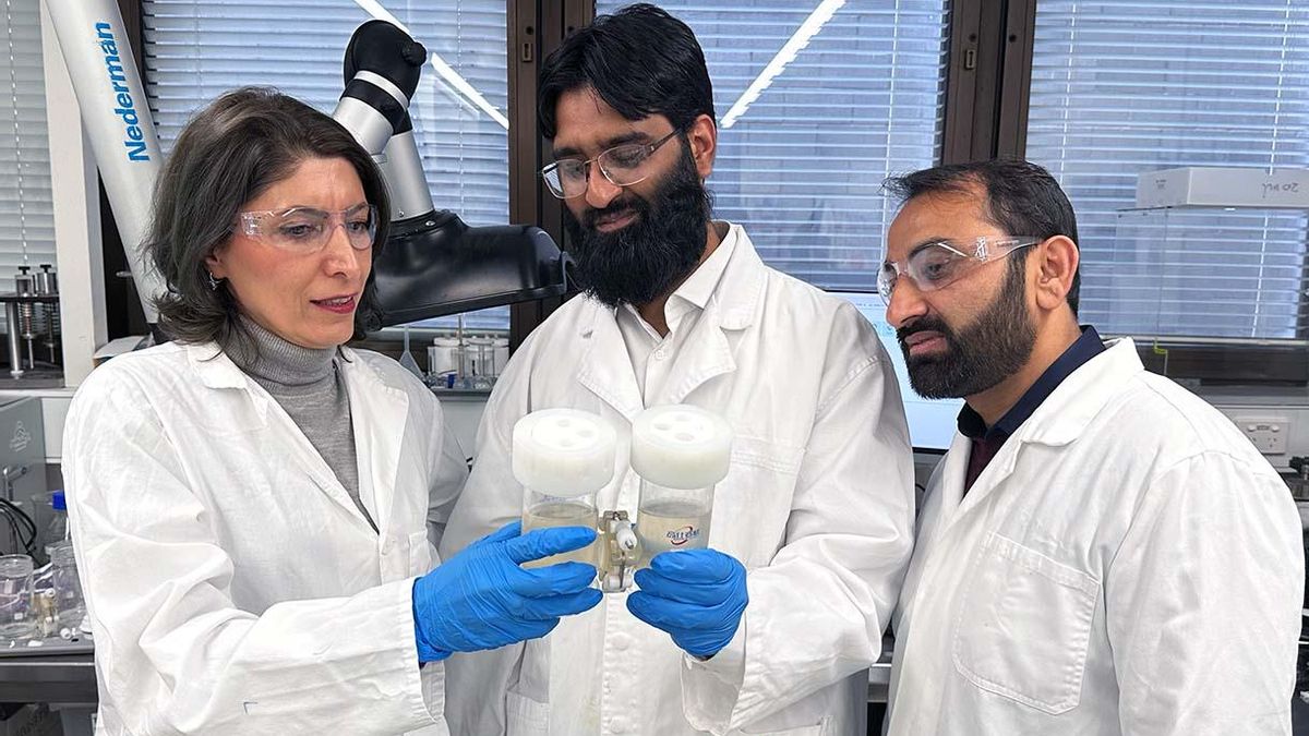 Los protagonistas de este hallazgo: La profesora Nicky Eshtiaghi, el Dr. Muhammad Haris y el profesor asociado Nasir Mahmood (de izquierda a derecha) en su laboratorio del RMIT.