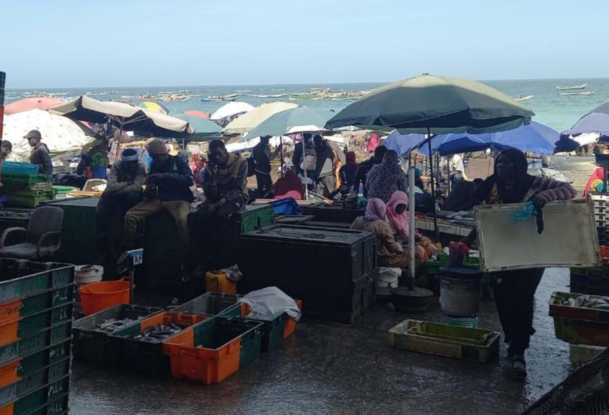 Venta de pescado en la playa de la capital de Mauritania.  | // FDV