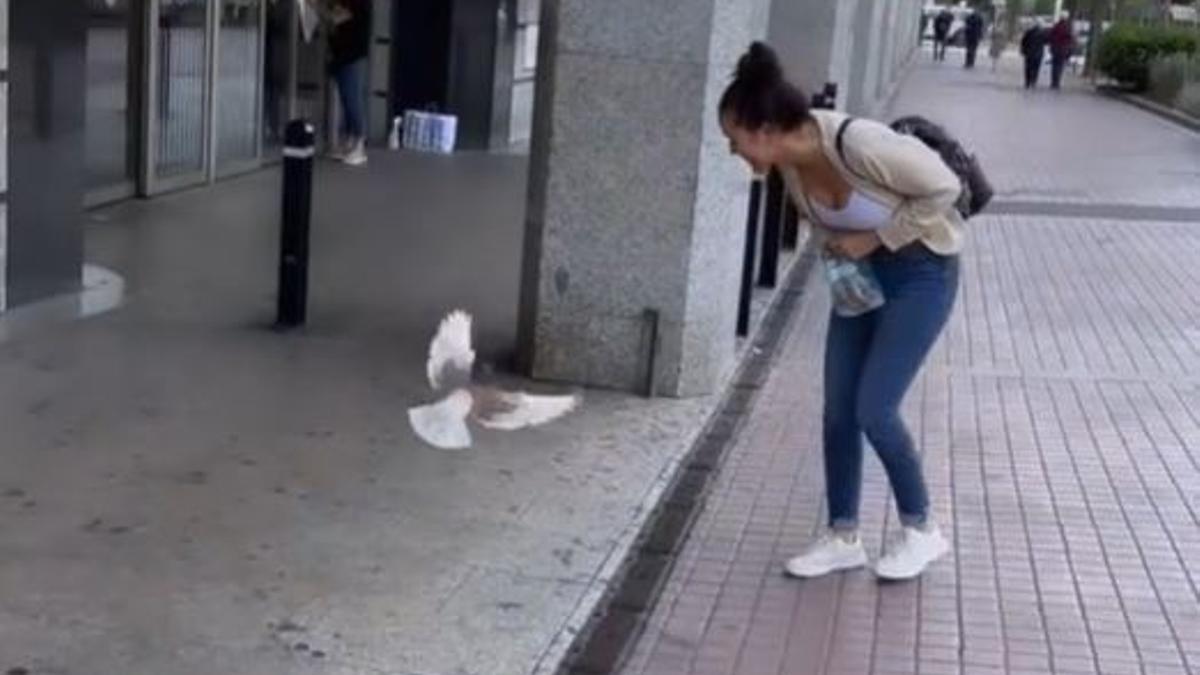 Captura d'un vídeo de la tiktoker Marta Martí amb el colom