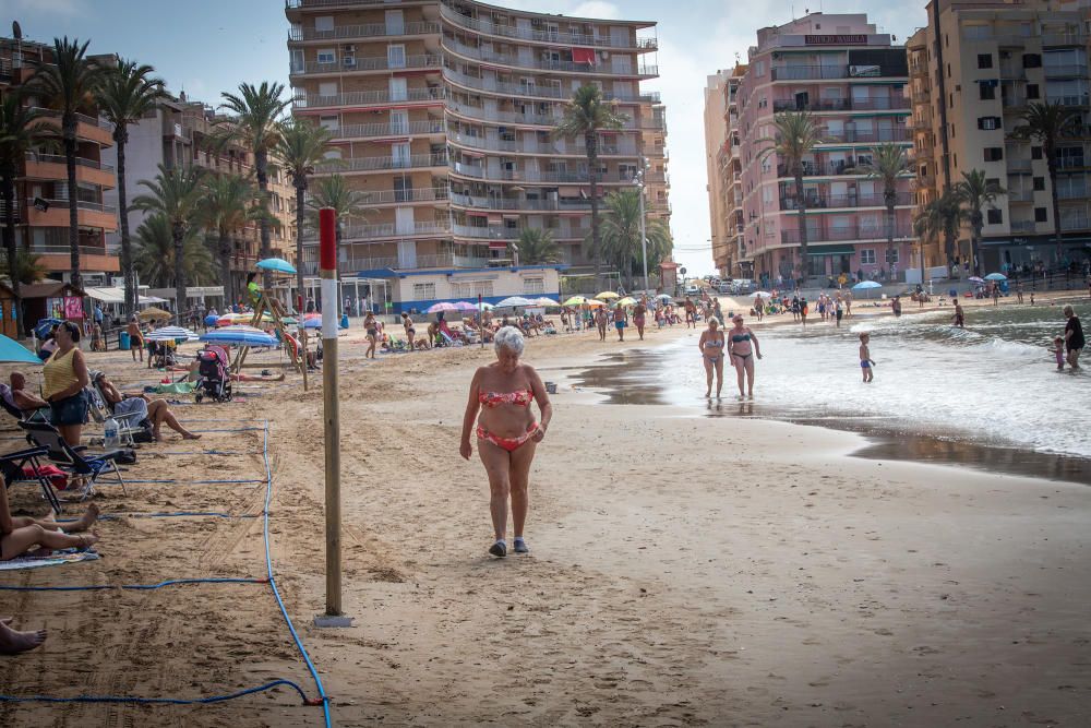 Primer día de baño autorizado en las playas de Torrevieja con arena parcelada y controles de acceso