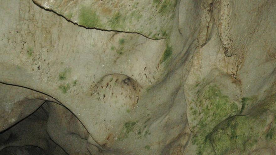 Vista de uno de los puntos de la Cueva del Tesoro de Rincón de la Victoria afectados por el mal verde.