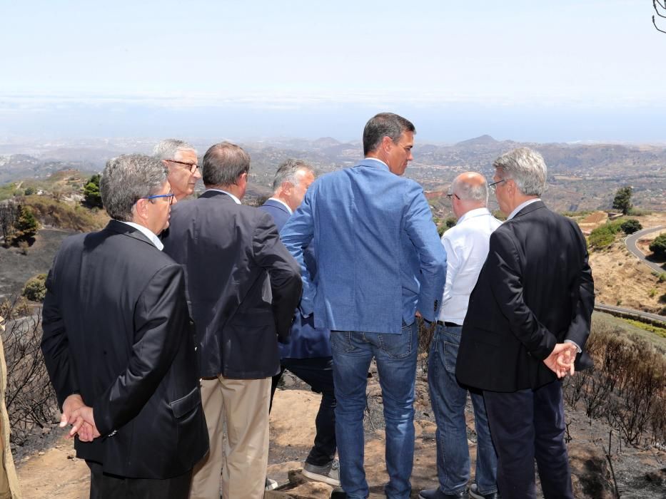 Pedro Sánchez visita Gran Canaria