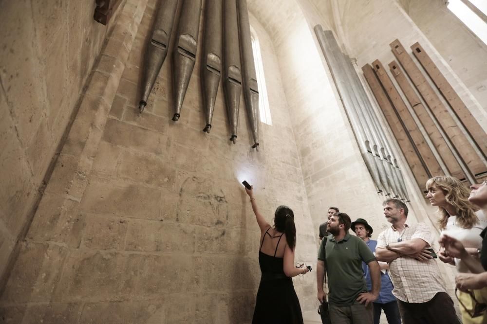 Visita guiada a las terrazas de la Seu