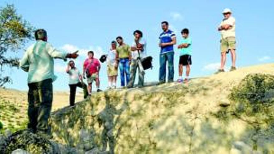 Hallan un asentamiento medieval en el yacimiento del Cerro de la Merced