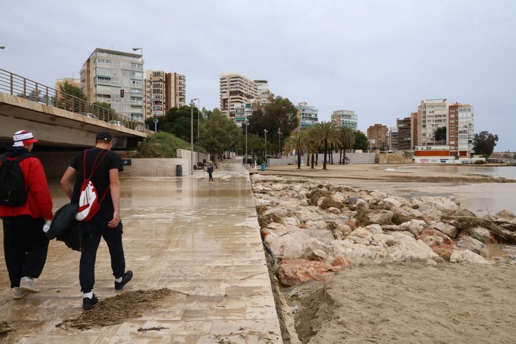 Efectos de la lluvia en la Albufereta y el barranco de Alicante