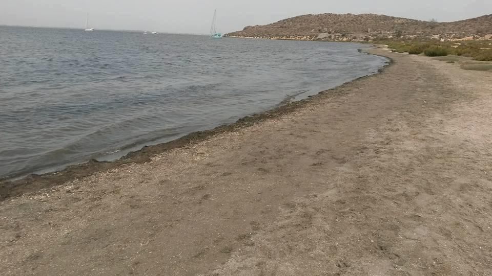 Lamentable estado de la isla Perdiguera del Mar Menor